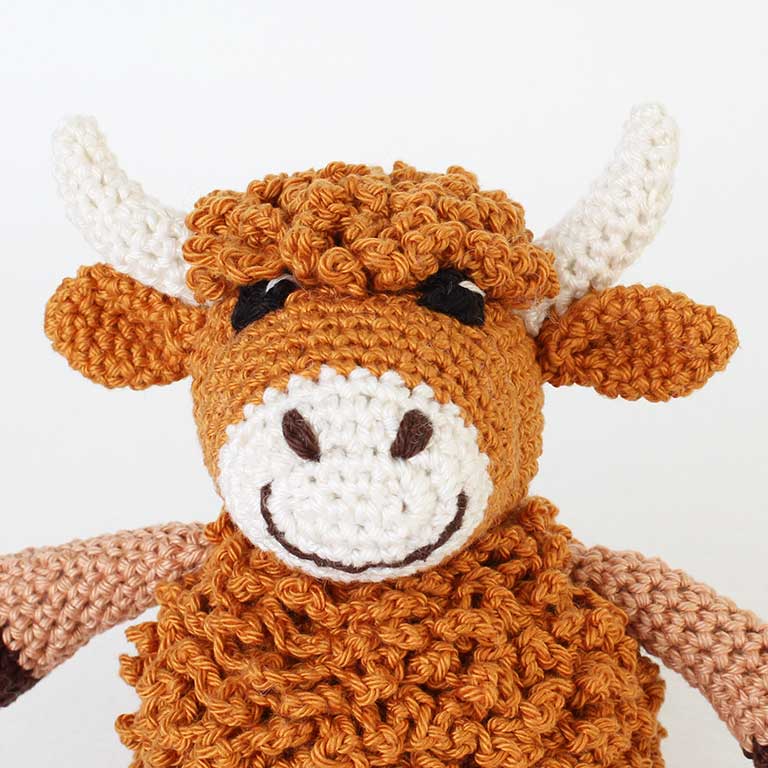 Picture of face of crochet Highland Cow