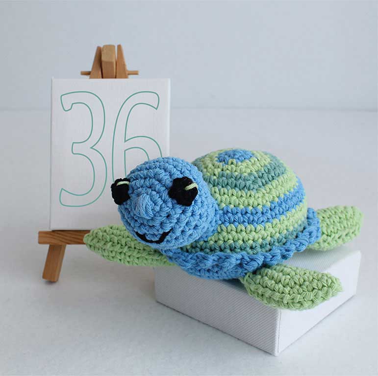 Picture of crochet turtle
